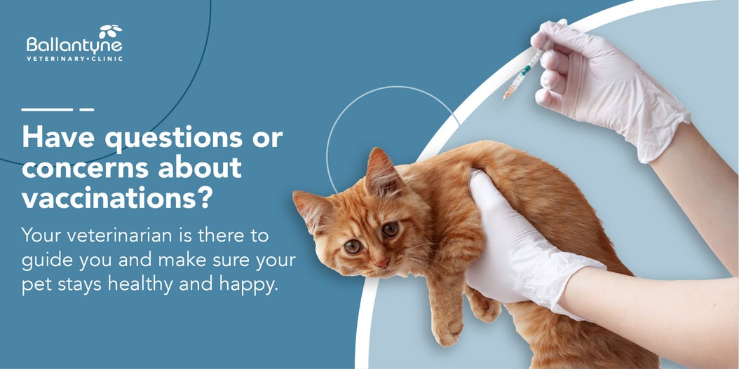 Vaccines for Dogs and Cats What You Need to Know-01