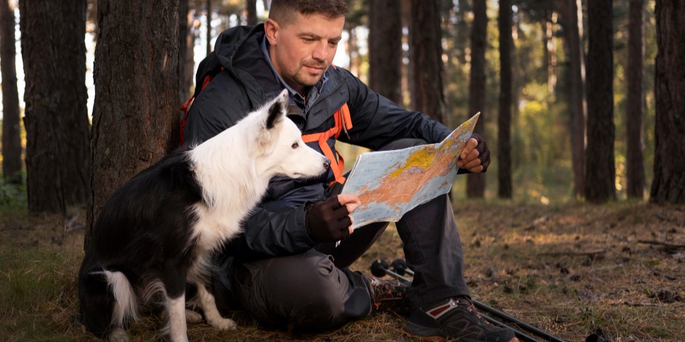 beautiful-black-white-dog-looking-map Freepik