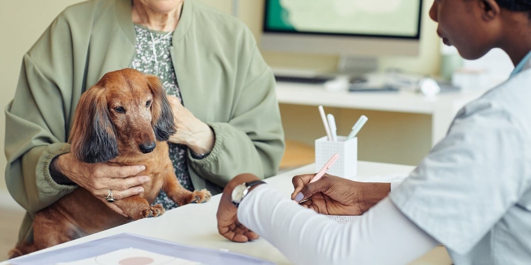 cute-dog-visiting-vet-1