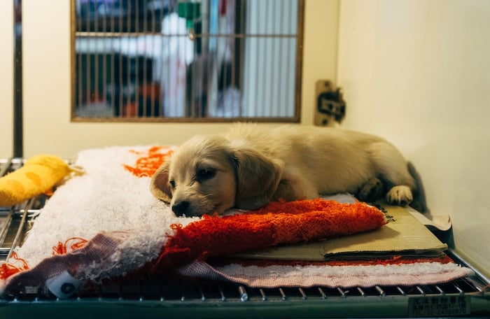 Emergency Visit-PcKhVNNyEio-unsplash