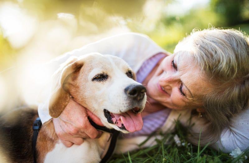 Palliative Care for Pets Blog_Canva